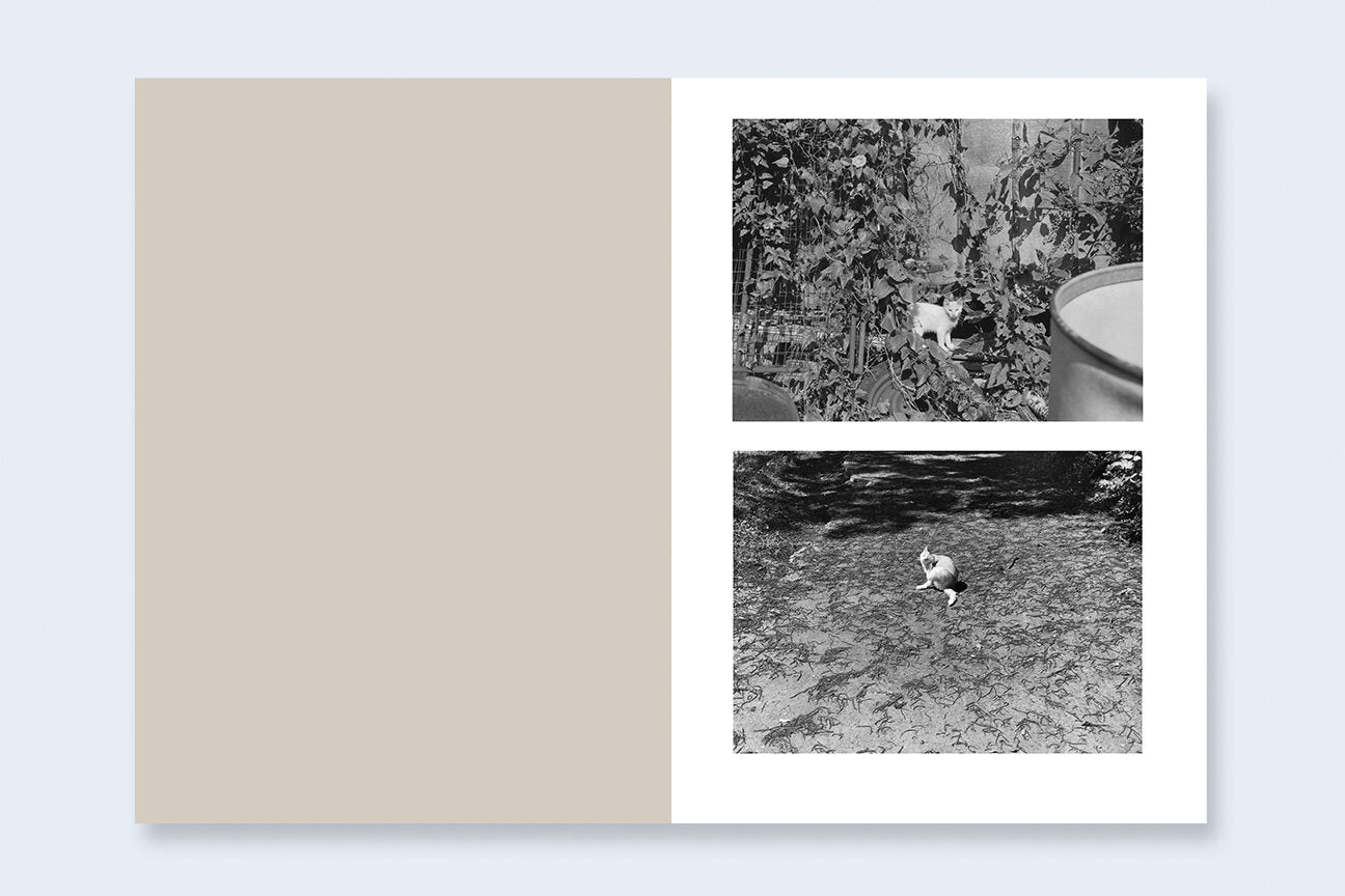 One Picture Book Two #16: Cats [Signed]