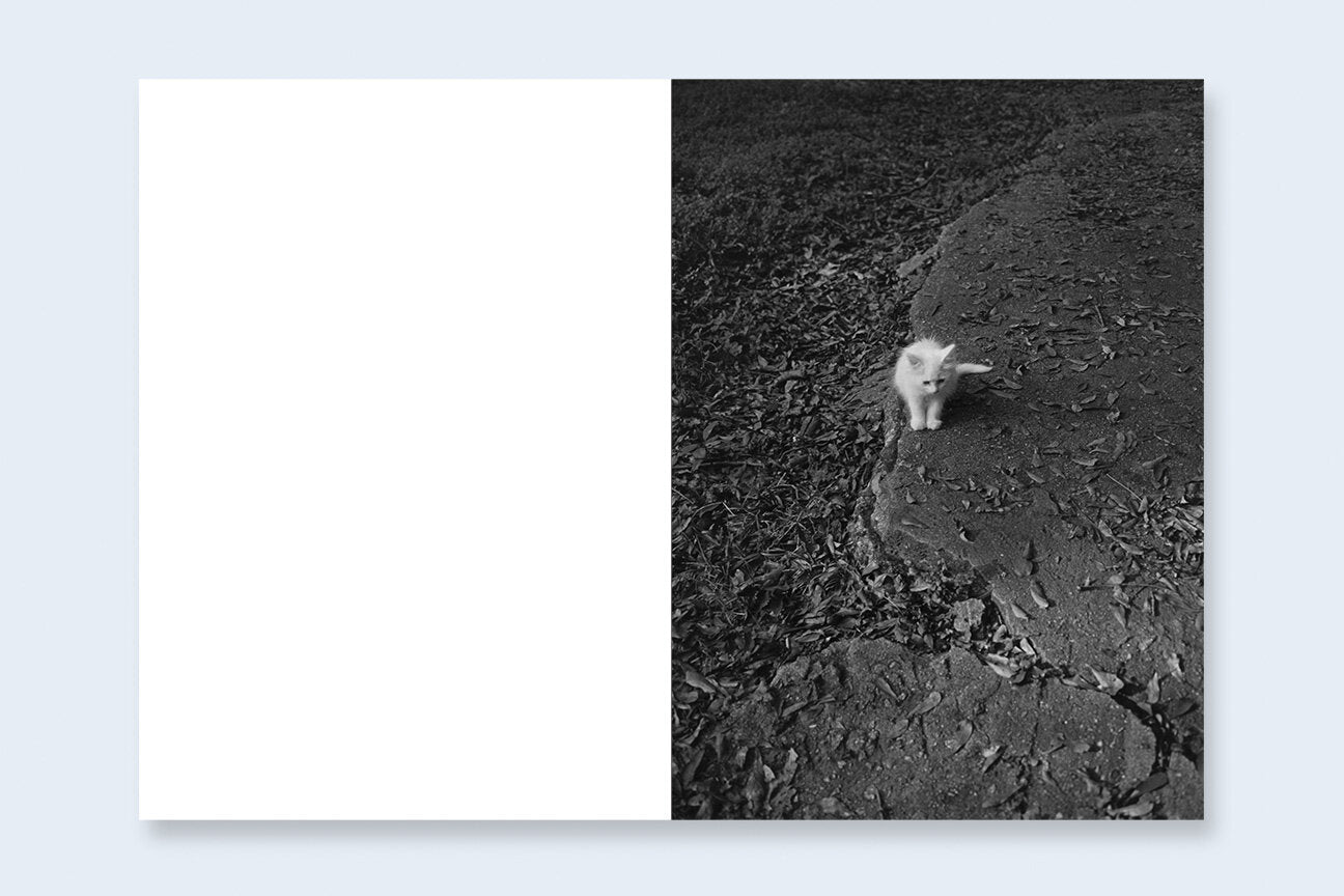 One Picture Book Two #16: Cats [Signed]