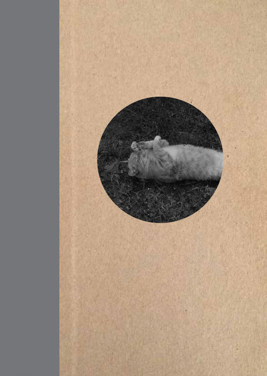 One Picture Book Two #16: Cats Signed by Mark Steinmetz