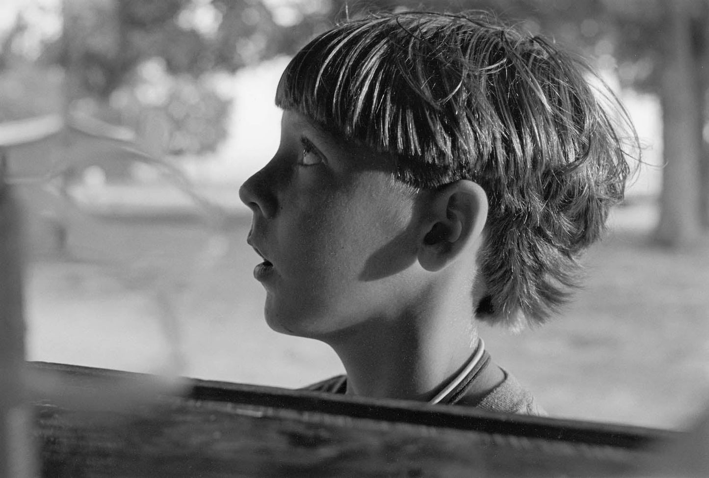 Summer Camp [Signed]