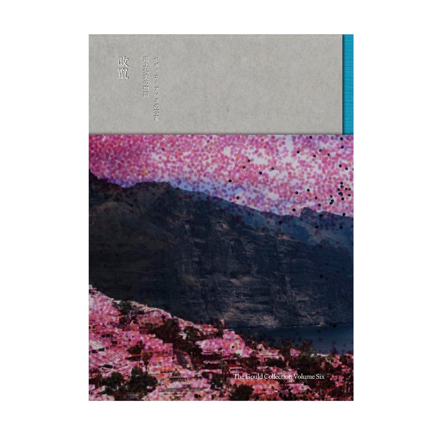 Falsification [Signed]