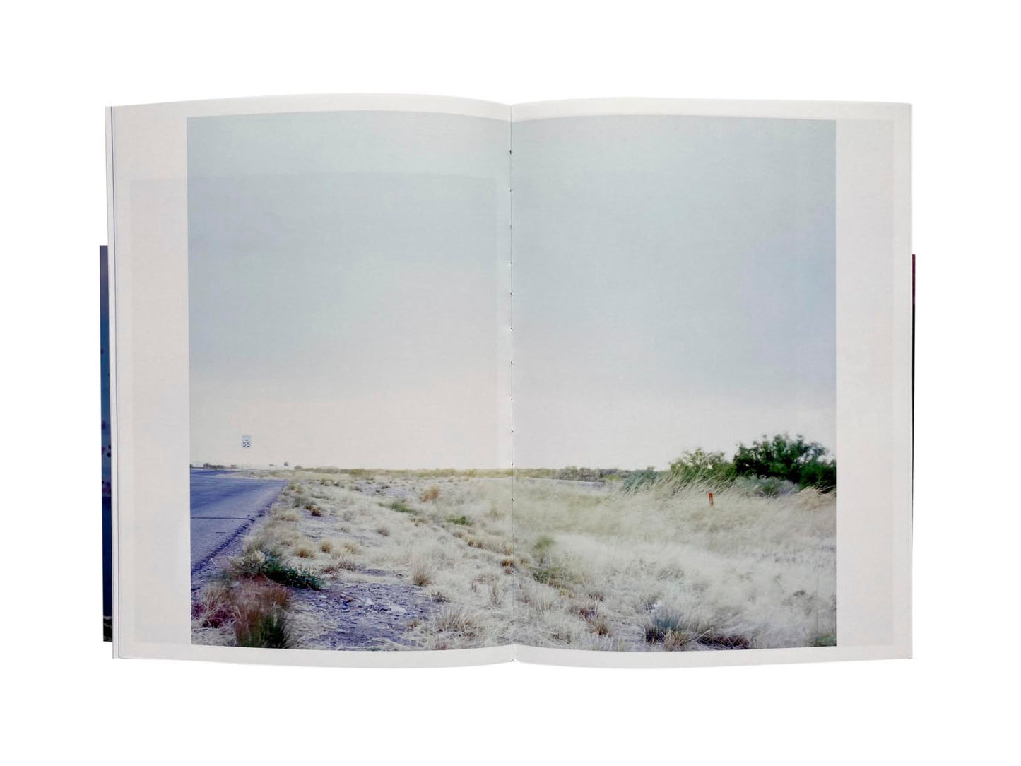 Falsification [Signed]