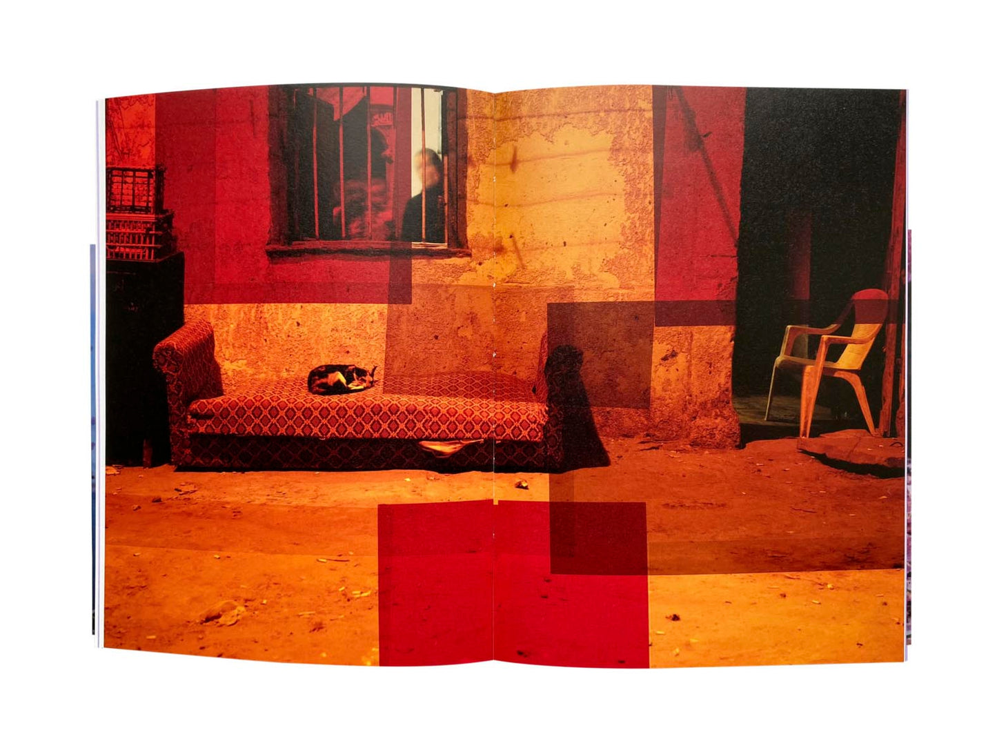 Falsification [Signed]