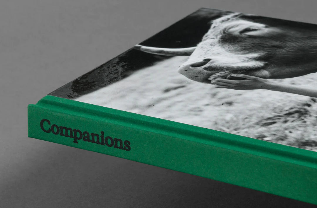 Companions [Signed]