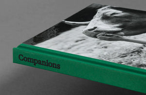 Companions - signed copy