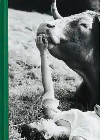Companions [Signed]