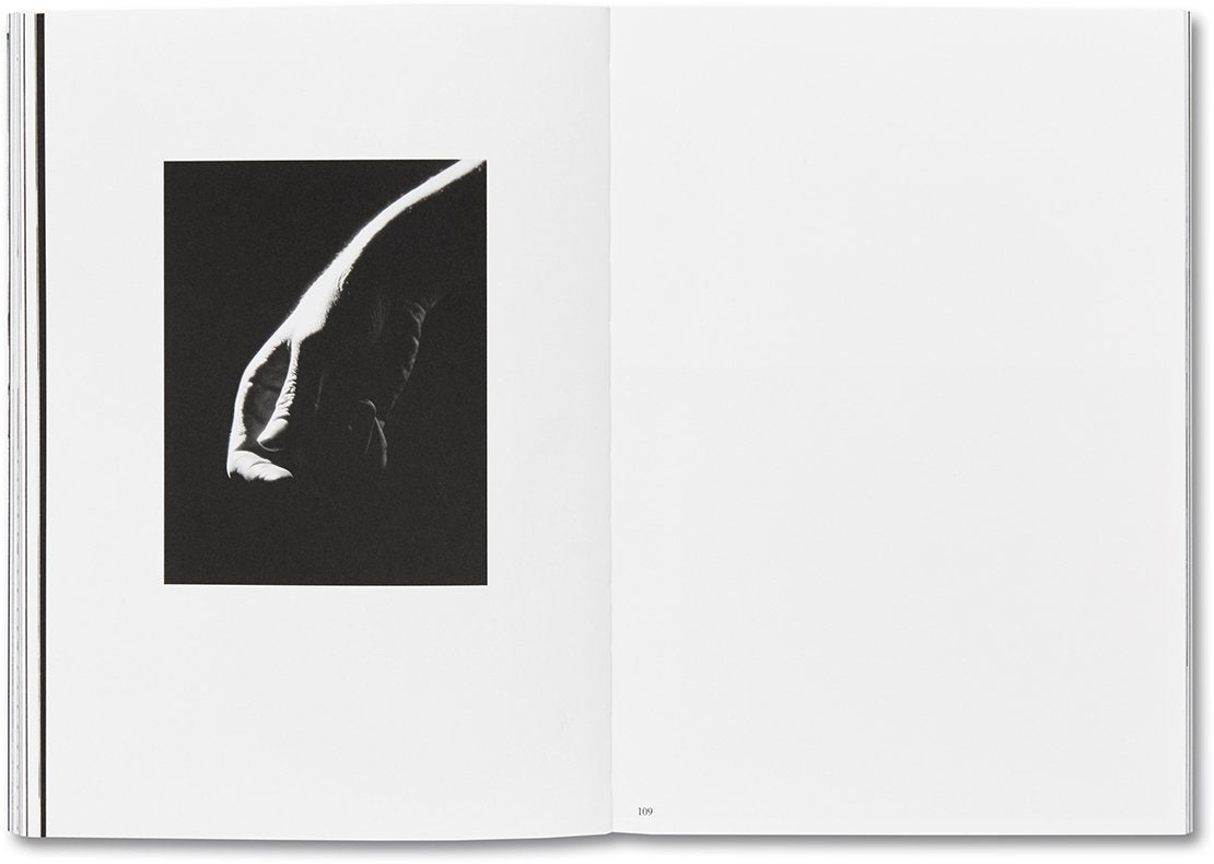 Day Sleeper (First Edition, Second Printing)