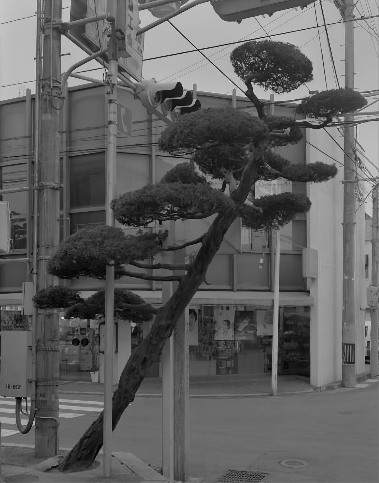 Ehime [Signed]