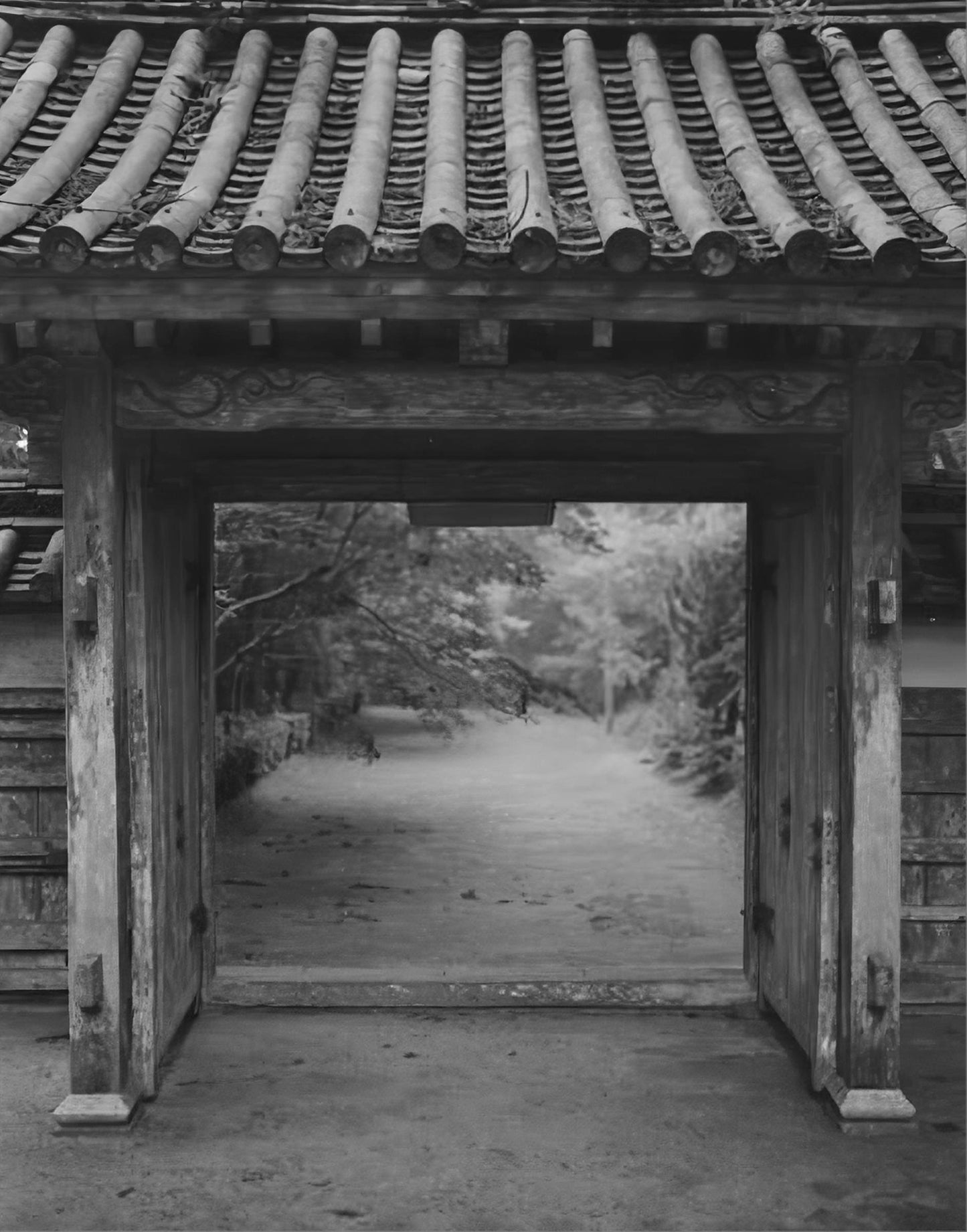 Ehime [Signed]