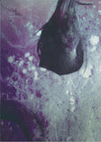 Immerse