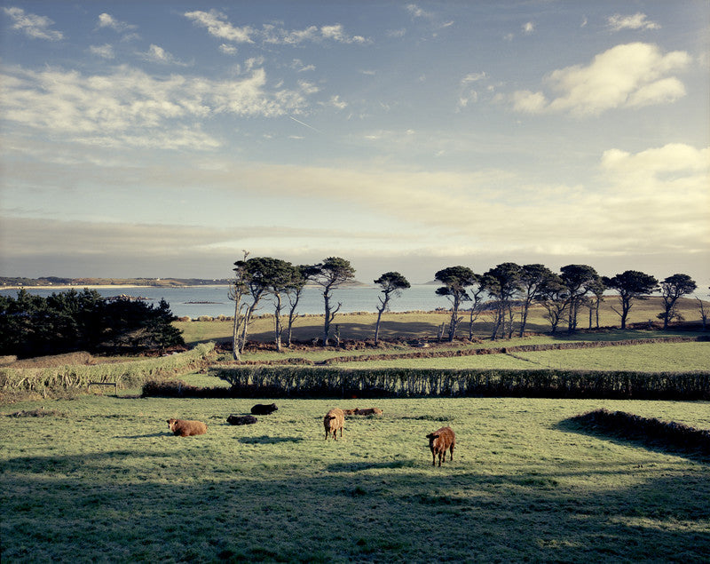 Cornwall [Signed]