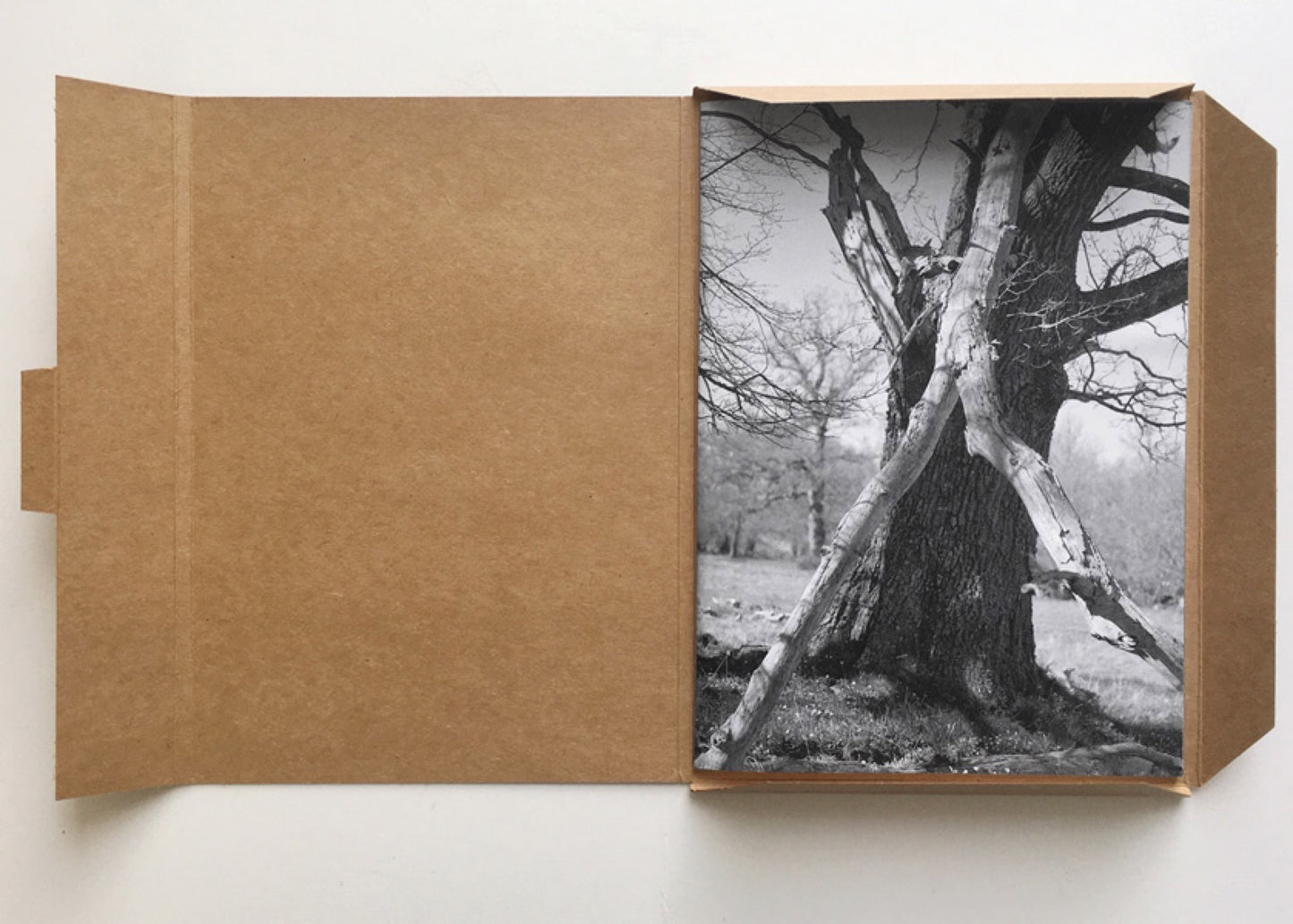 Esker [Signed]