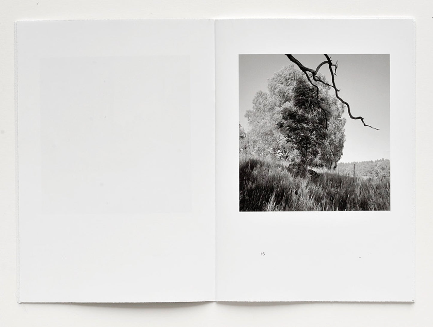 Esker [Signed]